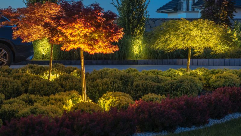 Landscape Lighting Installation in Pasadena, CA