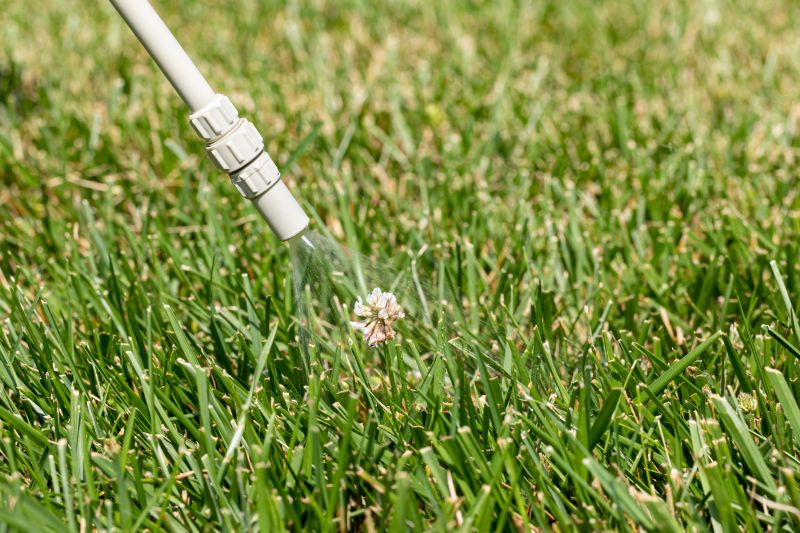 Lawn Herbicide Treatment in Aiken, SC