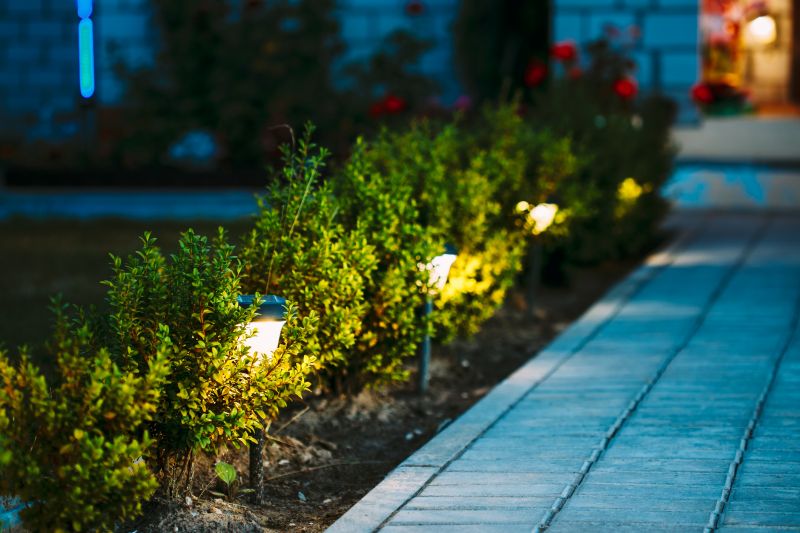 Pond Lighting Installation in Denver, CO