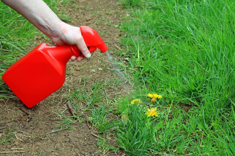 Weed Spraying in Honolulu, HI